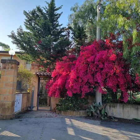 Vfh- Park Cicladi
